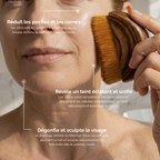 Brosse Dreva